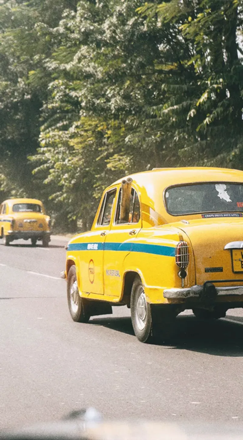 Yellow Ambassador