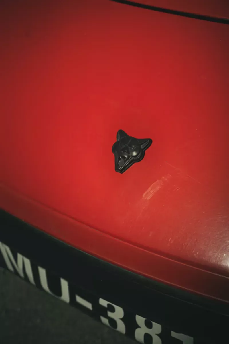 VW Puma